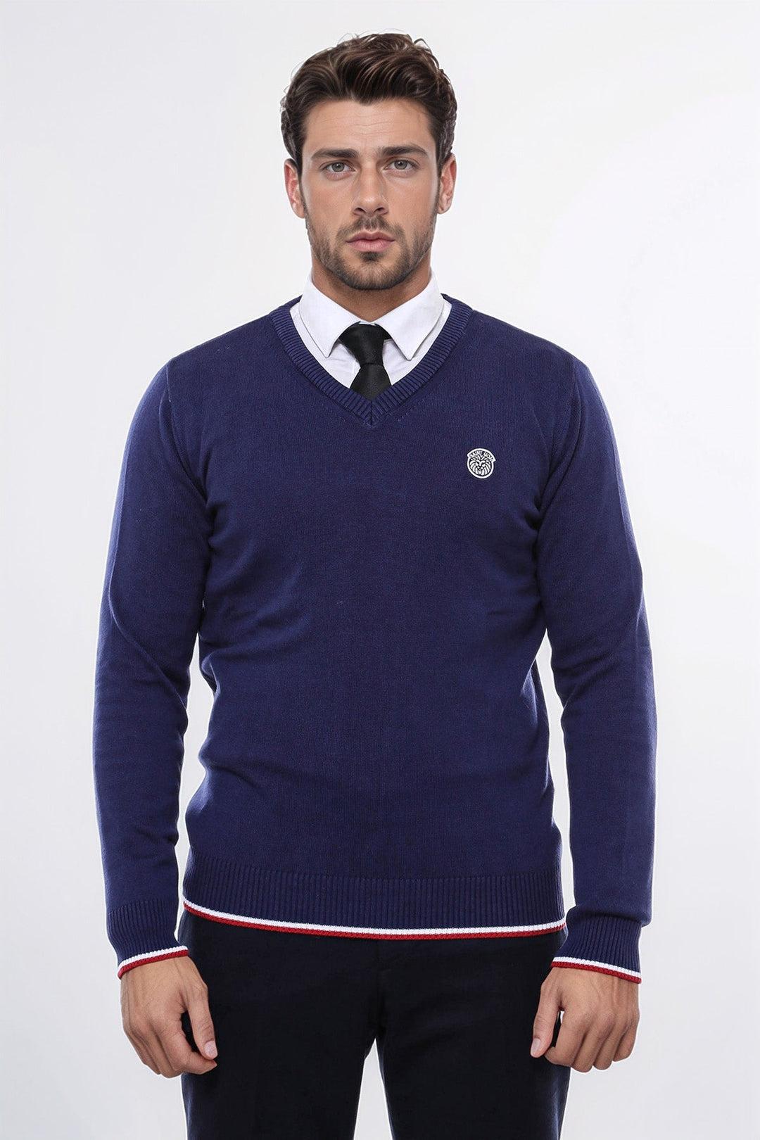 WSS Navy Blue V Neck Slim Fit Men Sweater  - Oss