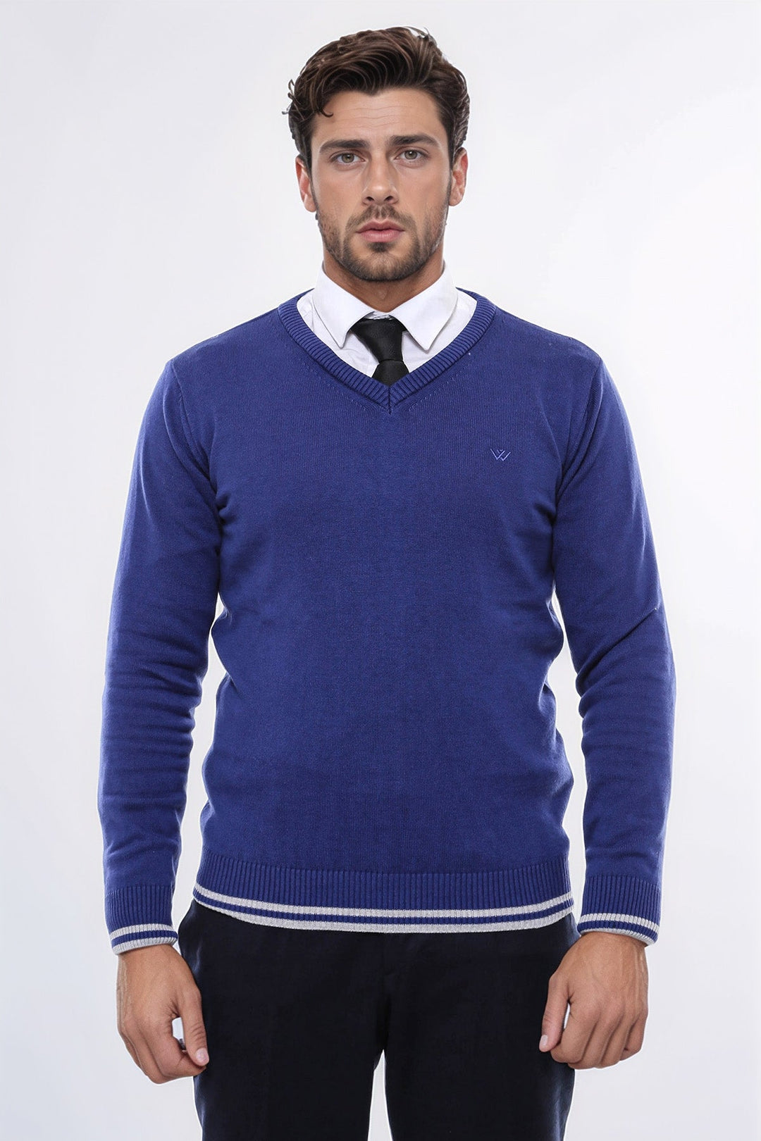 WSS Dark Blue V Neck Slim Fit Sweater  - Ciudad Benito Juárez