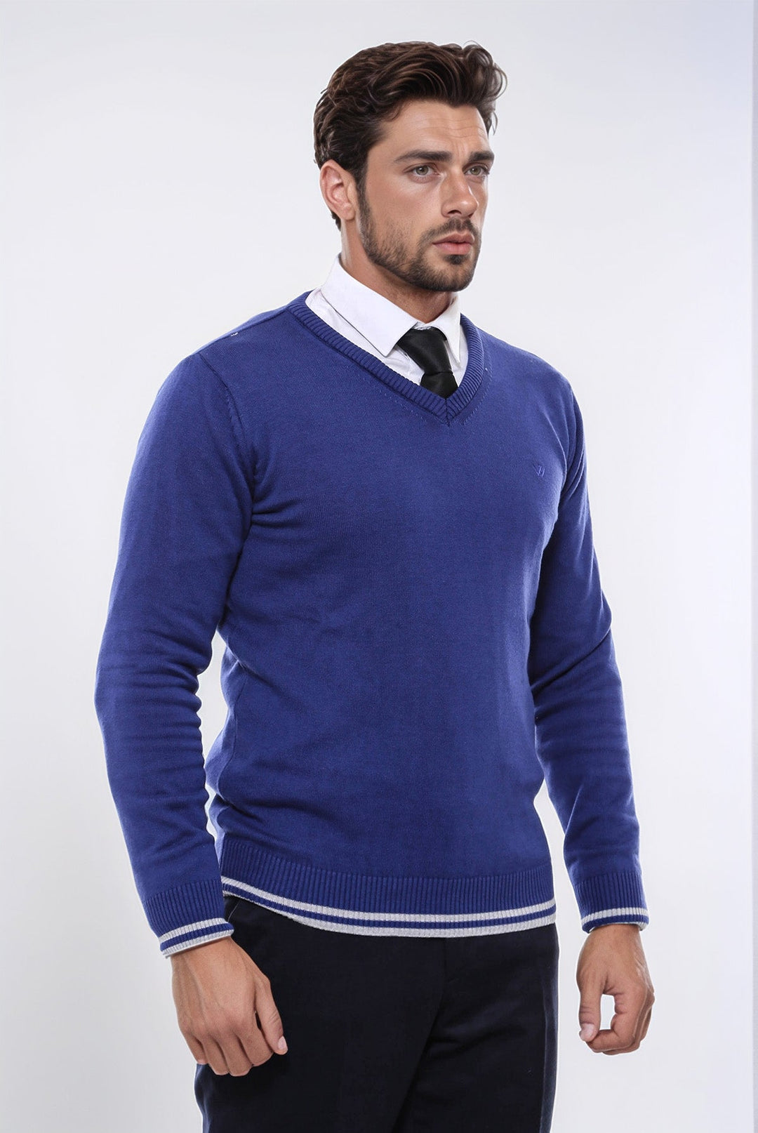 WSS Dark Blue V Neck Slim Fit Sweater  - Ciudad Benito Juárez