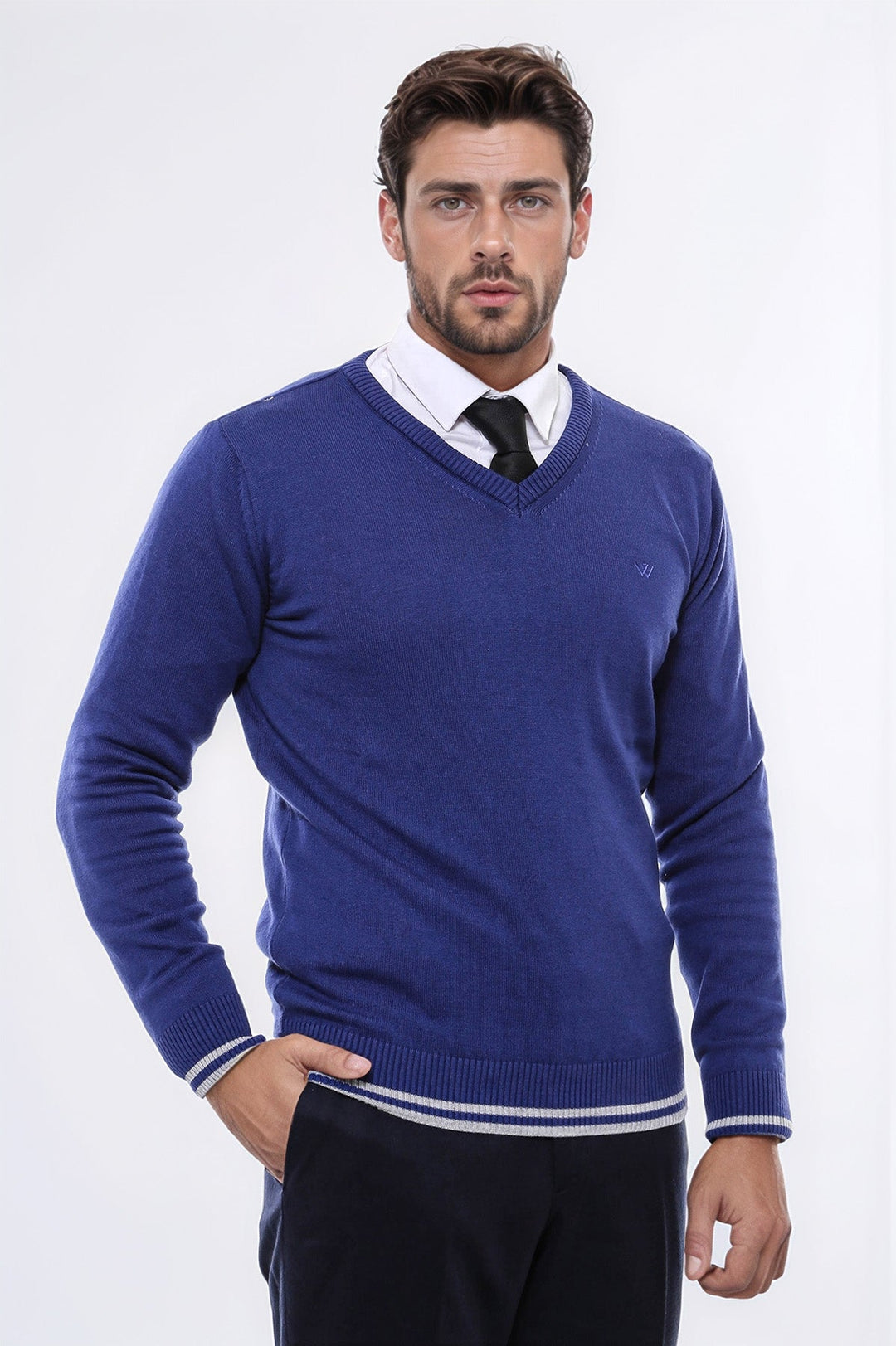 WSS Dark Blue V Neck Slim Fit Sweater  - Ciudad Benito Juárez