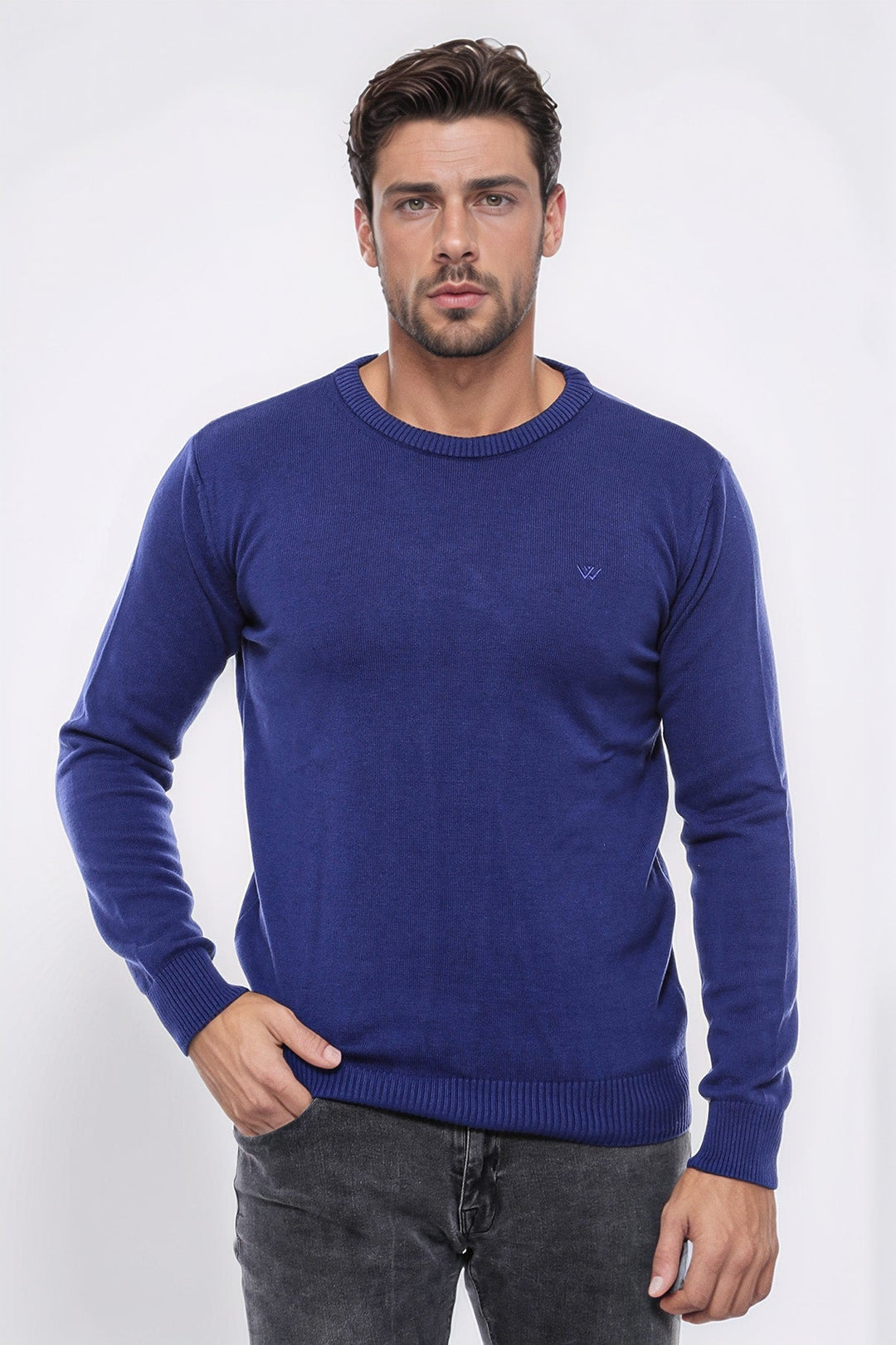 WSS Navy Blue Crew Neck Embroidered Plain Knitwear  - Castelldefels