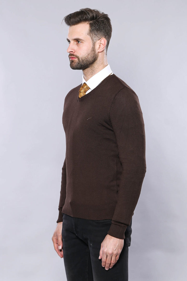 WSS Slim Fit V Neck Long Sleeve Brown Men Knitwear - Lowell