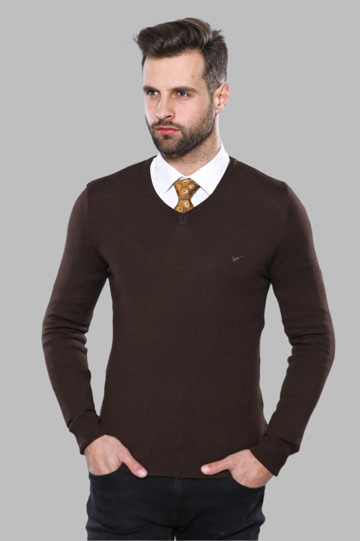 WSS Slim Fit V Neck Long Sleeve Brown Men Knitwear - Lowell