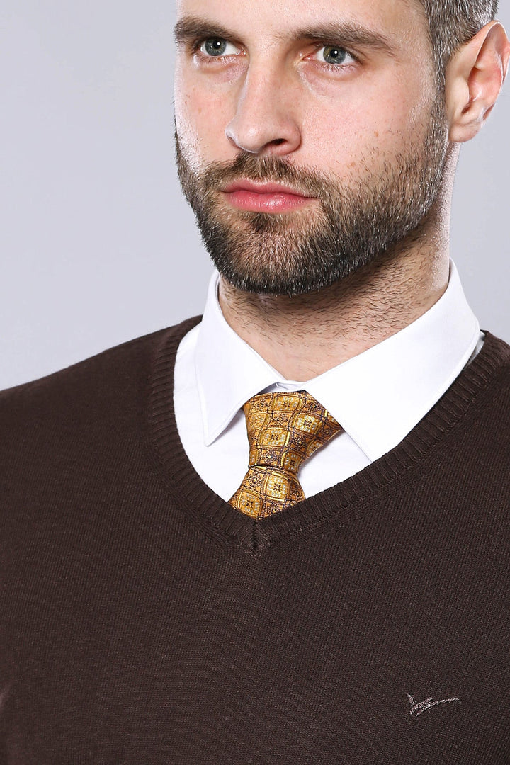 WSS Slim Fit V Neck Long Sleeve Brown Men Knitwear - Lowell