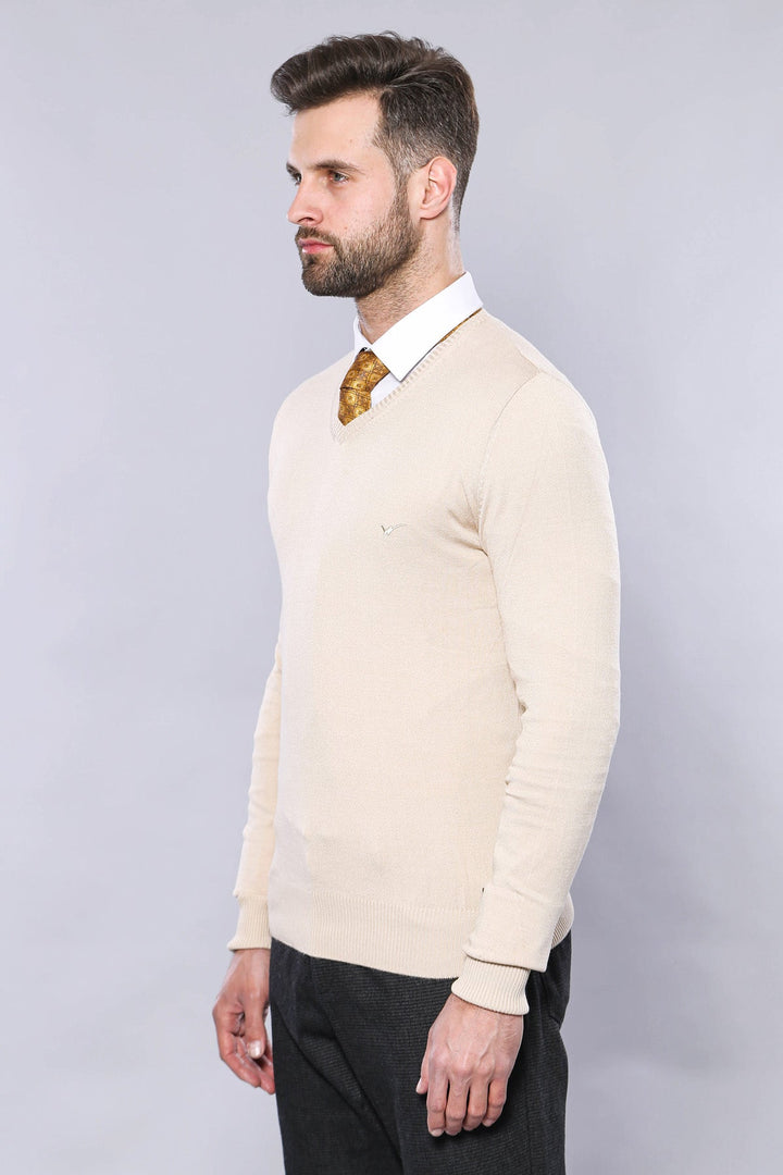 WSS Slim Fit V Neck Long Sleeve Beige Men Knitwear - Eberswalde