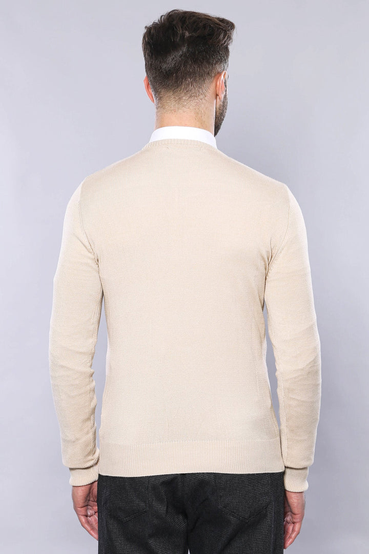 WSS Slim Fit V Neck Long Sleeve Beige Men Knitwear - Eberswalde