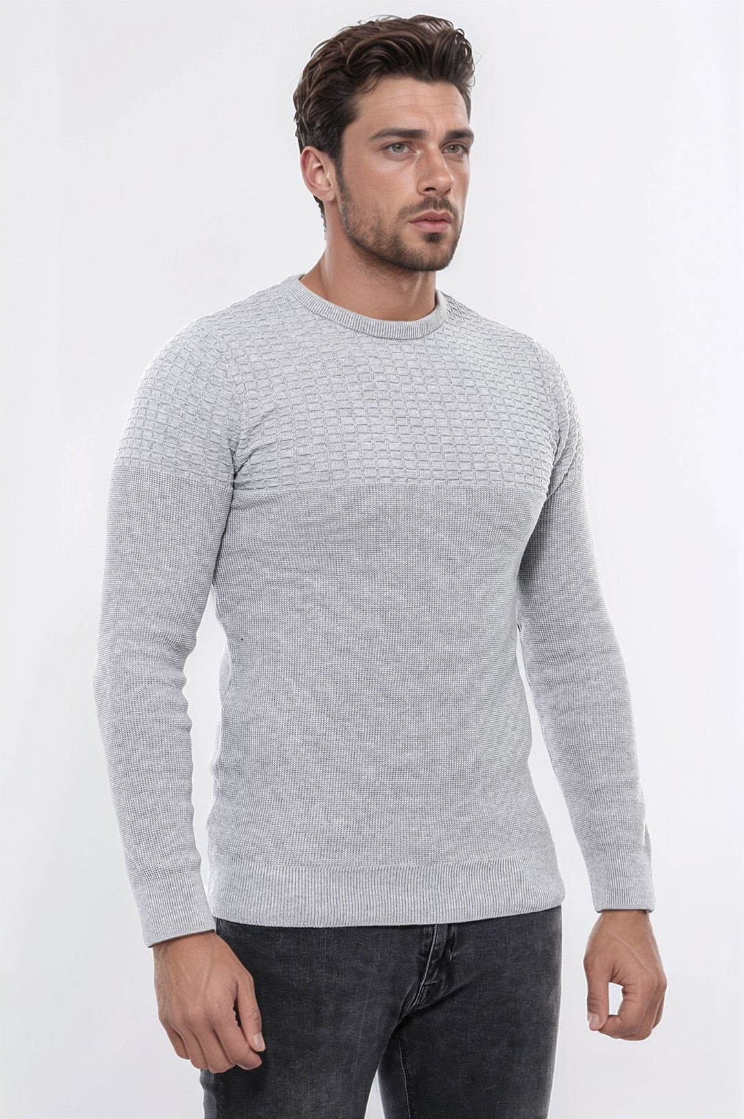 WSS Circle Neck Patterned Light Grey Men Knitwear  - Villepinte