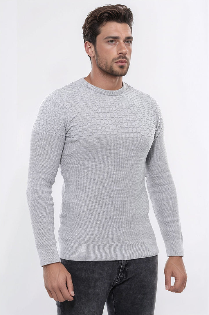 WSS Circle Neck Patterned Light Grey Men Knitwear  - Villepinte