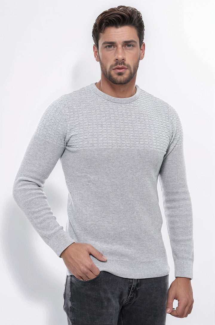 WSS Circle Neck Patterned Light Grey Men Knitwear  - Villepinte