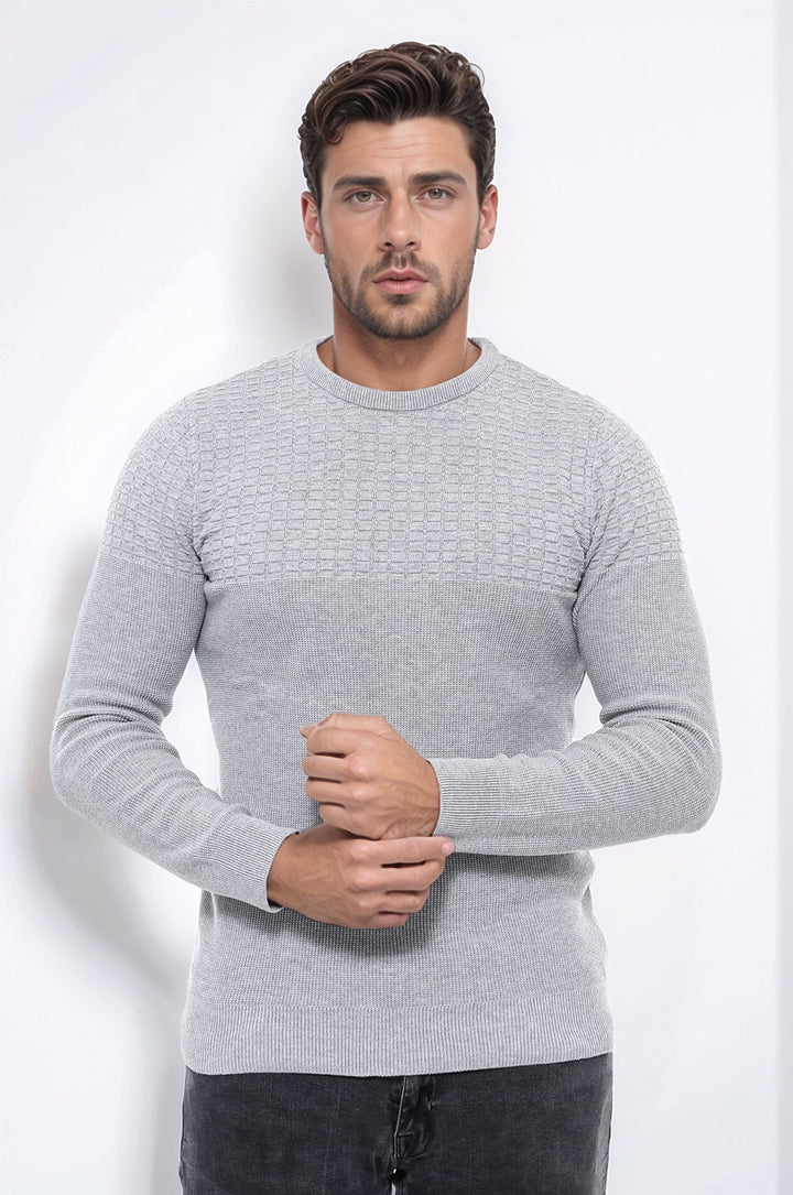 WSS Circle Neck Patterned Light Grey Men Knitwear  - Villepinte