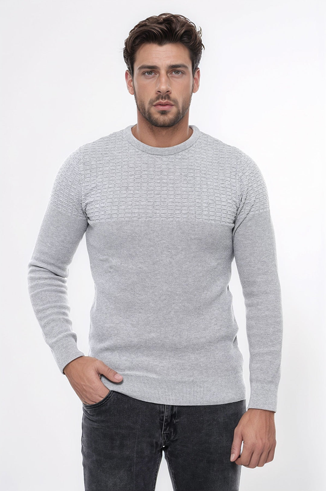 WSS Circle Neck Patterned Light Grey Men Knitwear  - Villepinte
