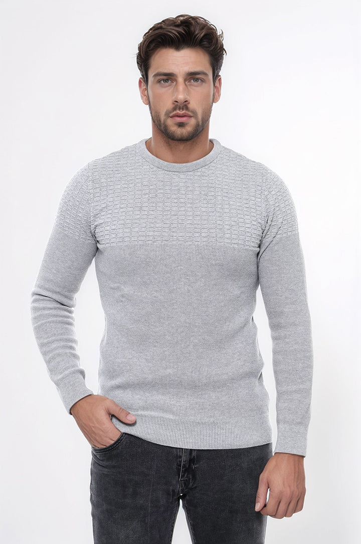 WSS Circle Neck Patterned Light Grey Men Knitwear  - Villepinte