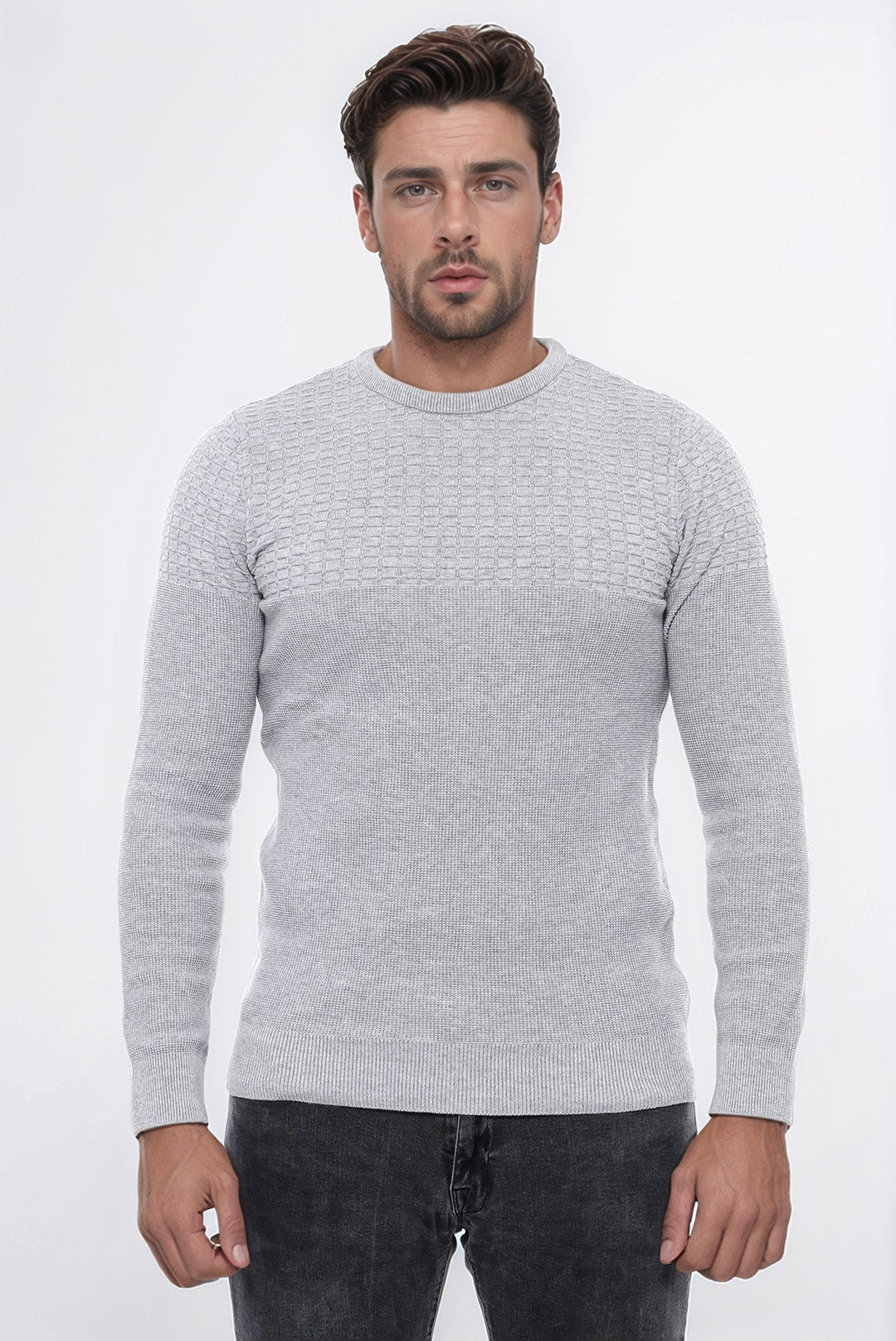 WSS Circle Neck Patterned Light Grey Men Knitwear  - Villepinte