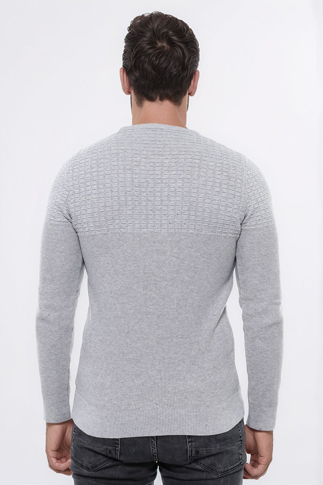 WSS Circle Neck Patterned Light Grey Men Knitwear  - Villepinte
