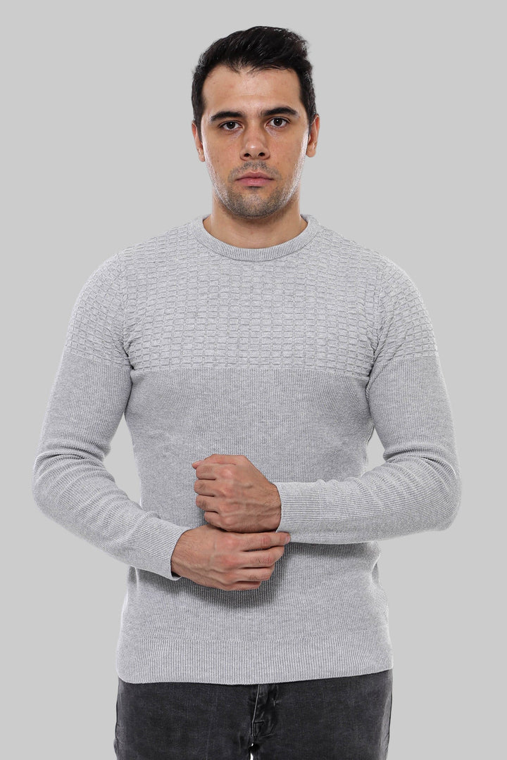 WSS Circle Neck Patterned Light Grey Men Knitwear  - Meppel