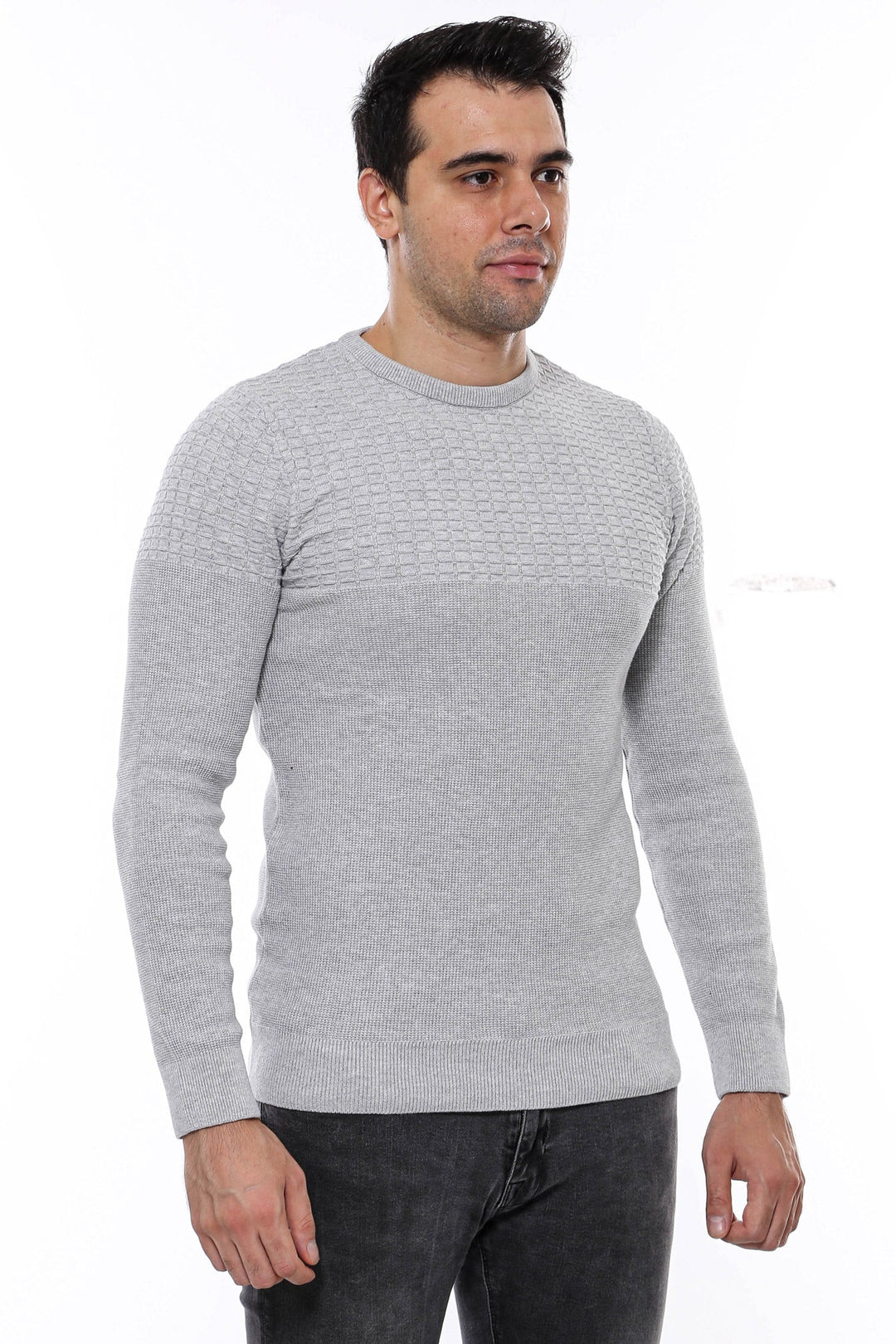 WSS Circle Neck Patterned Light Grey Men Knitwear  - Meppel