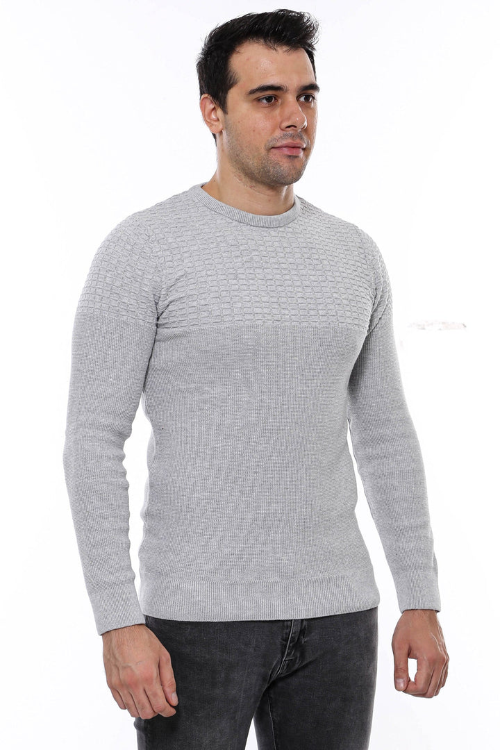 WSS Circle Neck Patterned Light Grey Men Knitwear  - Meppel