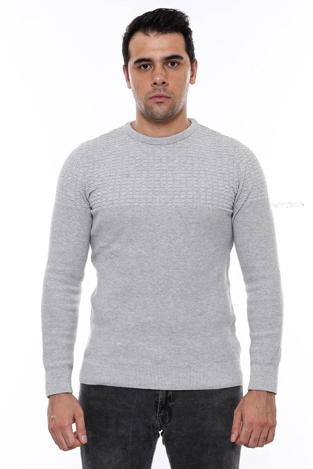 WSS Circle Neck Patterned Light Grey Men Knitwear  - Meppel