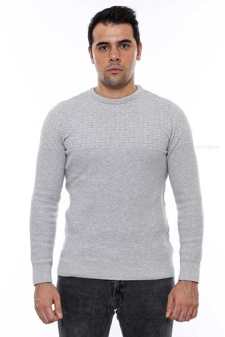 WSS Circle Neck Patterned Light Grey Men Knitwear  - Meppel