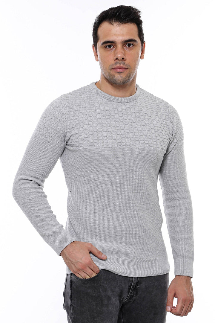 WSS Circle Neck Patterned Light Grey Men Knitwear  - Meppel