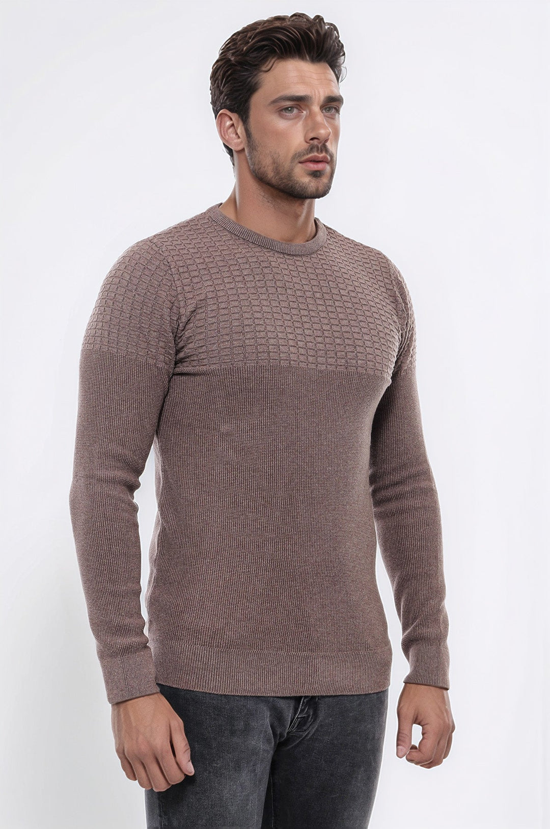 WSS Circle Neck Patterned Mink Men Knitwear  - Neuss