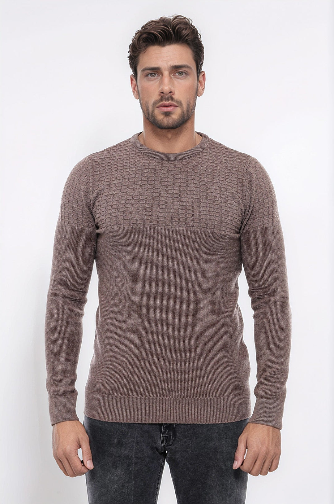 WSS Circle Neck Patterned Mink Men Knitwear  - Neuss
