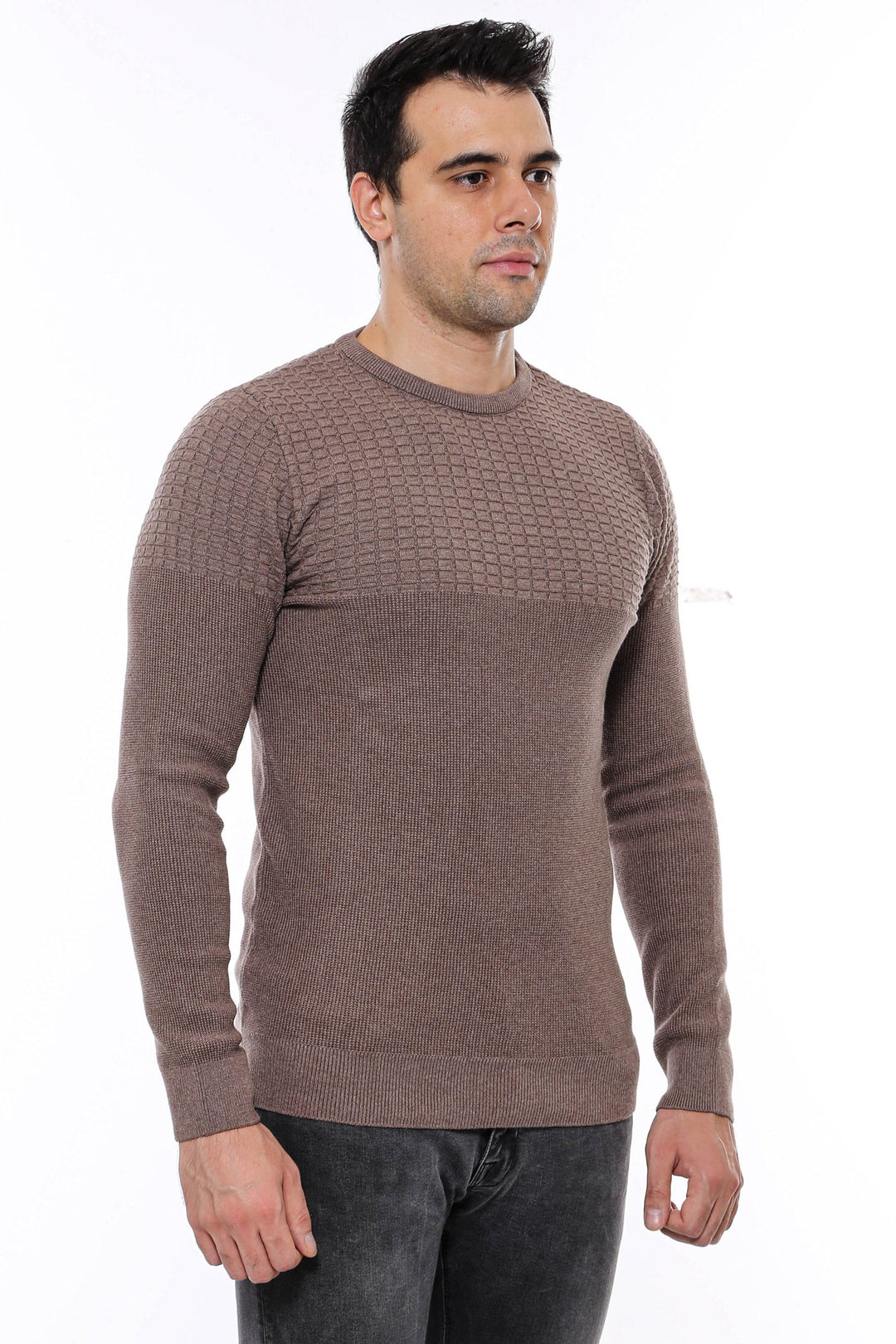 WSS Circle Neck Patterned Mink Men Knitwear  - Châteauroux
