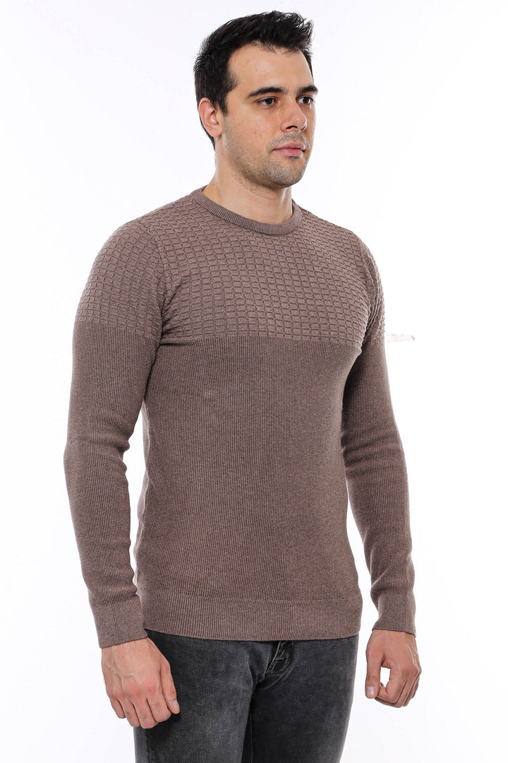 WSS Circle Neck Patterned Mink Men Knitwear  - Châteauroux