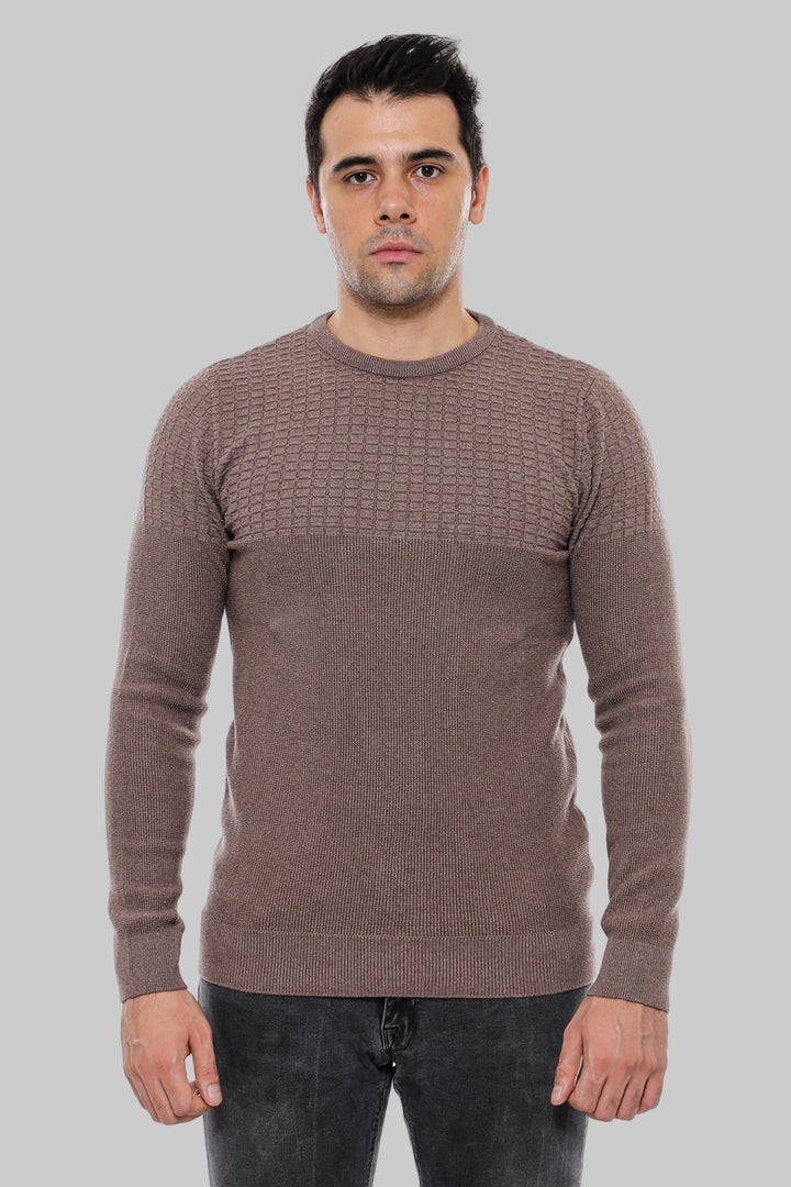 WSS Circle Neck Patterned Mink Men Knitwear  - Châteauroux