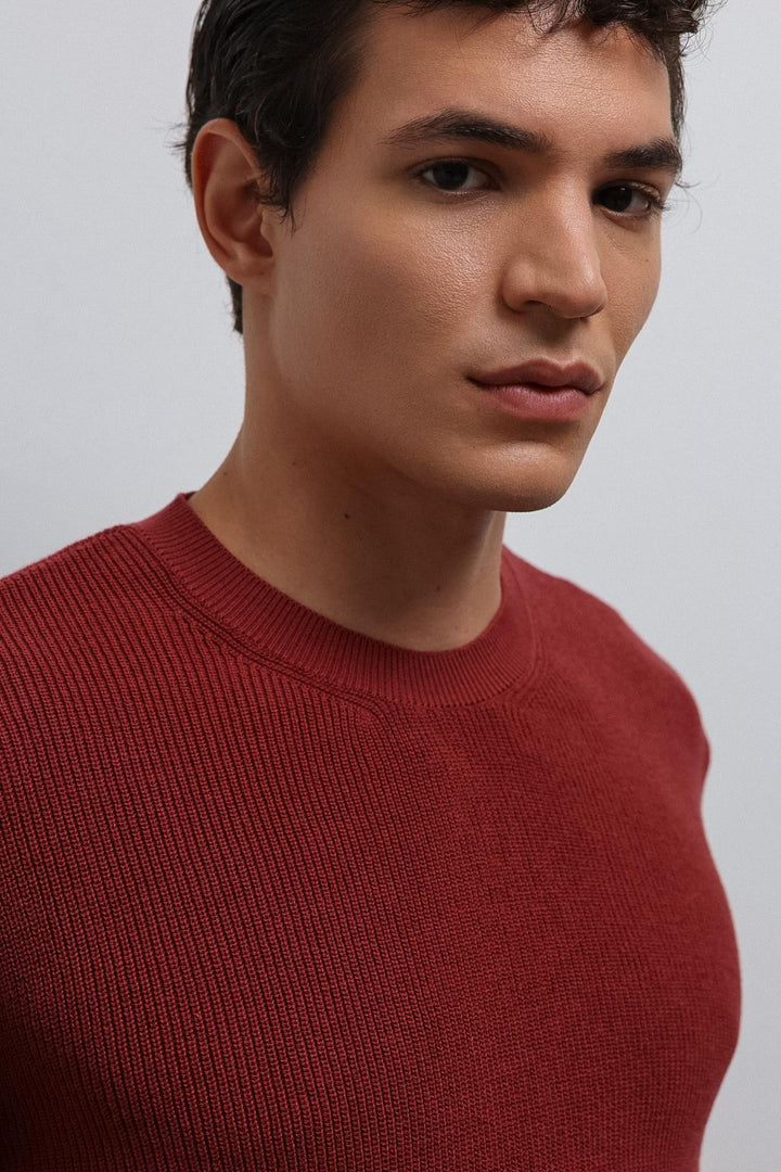 ANT Antioch Açık Bordo Dokulu Erkek Kazak - Hamilton