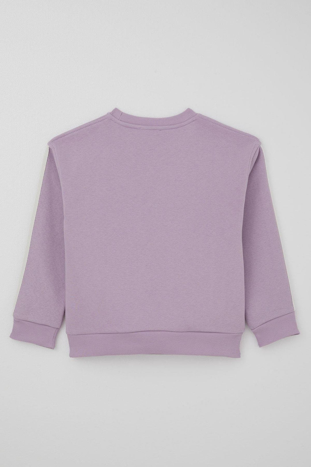 BRE Alg Girl Child Tracksuit Butterfly & Heart Printed 6-9 Years, Lilac - Rioverde