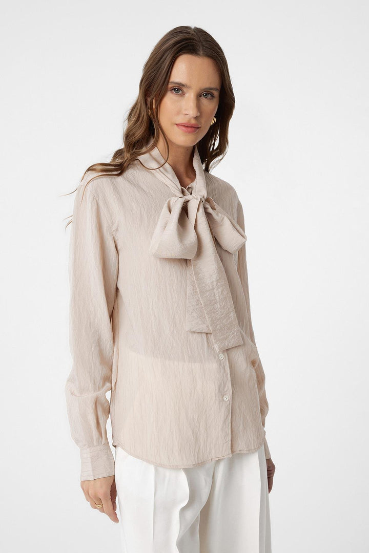 ANT Antioch Gentleman Collar Scarf Woman Shirt - Don Benito