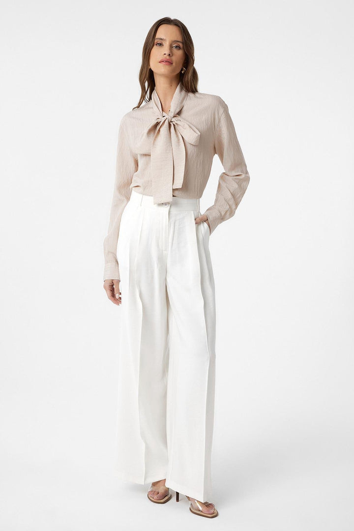 ANT Antioch Gentleman Collar Scarf Woman Shirt - Don Benito