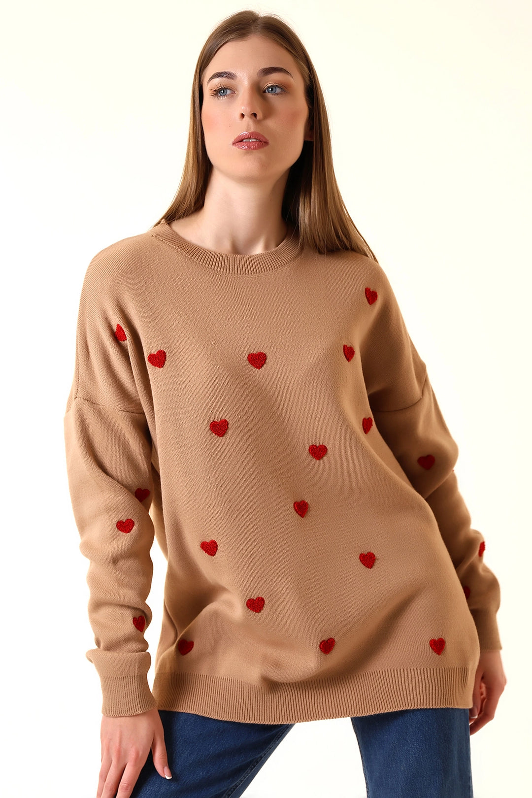Biscuit Bicycle Neck Heart Pattern Winter Sweater BCVL-T243150 - Greer