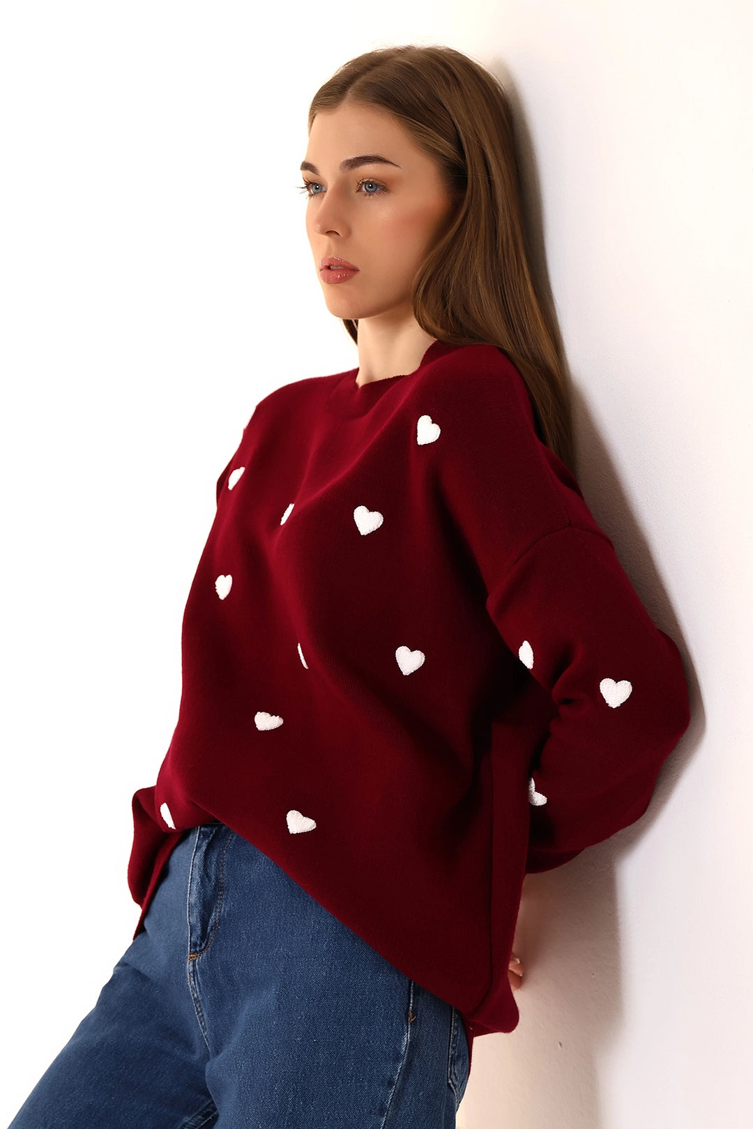Burgundy Bicycle Neck Heart Pattern Winter Sweater BCVL-T243150 - Hicksville