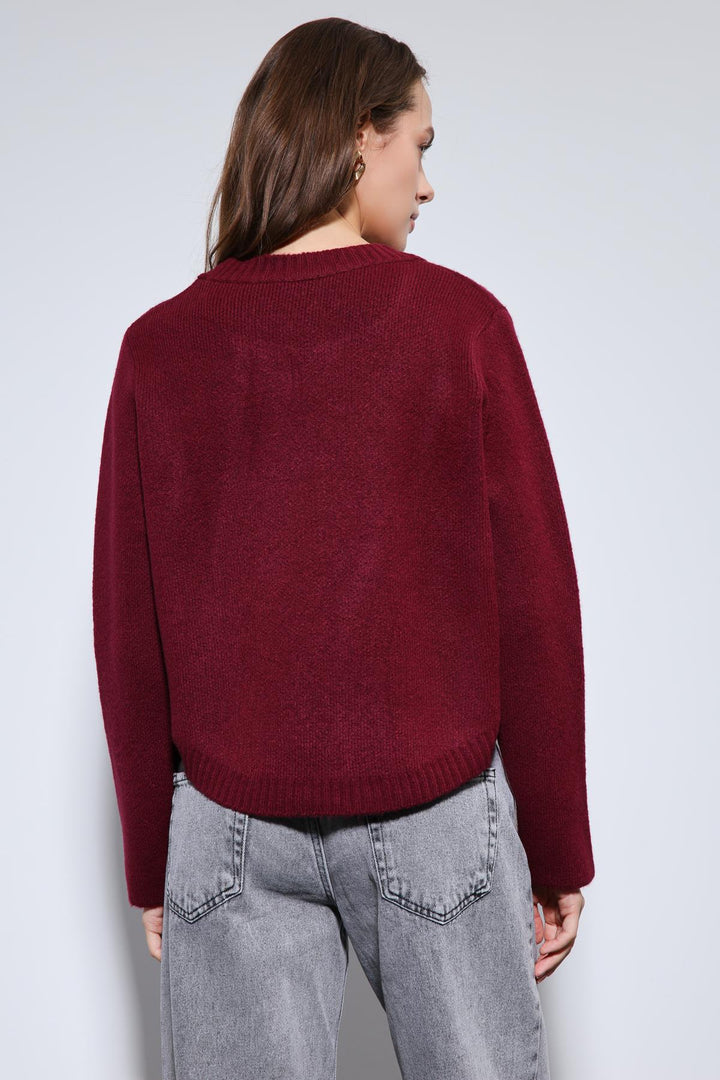 ANT Antioch Burgundy Button-Detailed Knit Sweater - Évosmos