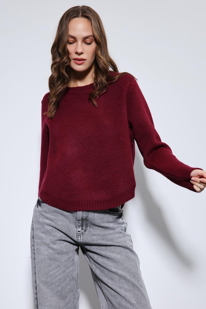 ANT Antioch Burgundy Button-Detailed Knit Sweater - Évosmos