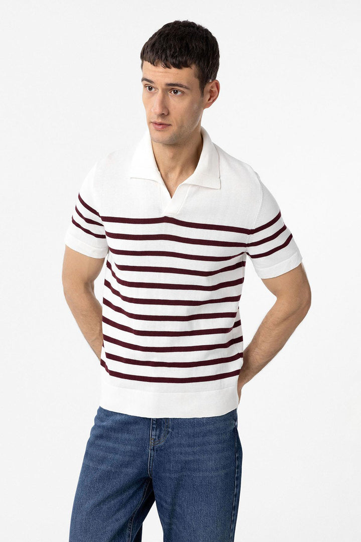 ANT Antioch Bordo-Ekru Polo Yaka Çizgili Erkek Triko T-Shirt - Georgetown