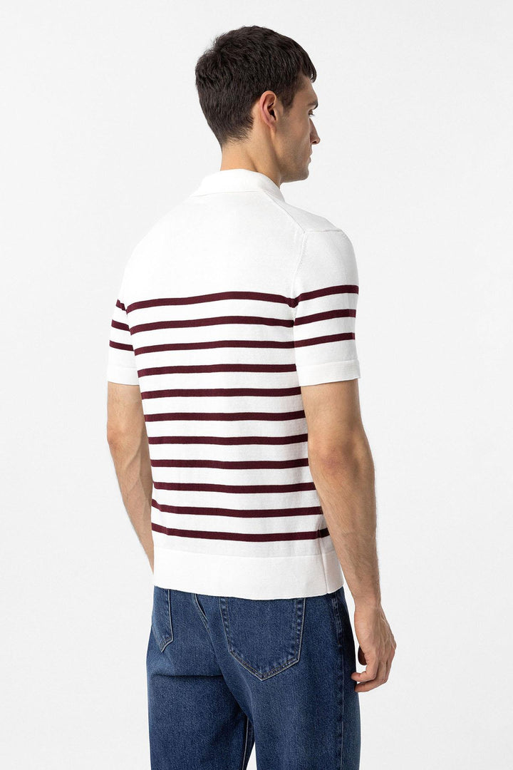 ANT Antioch Bordo-Ekru Polo Yaka Çizgili Erkek Triko T-Shirt - Georgetown