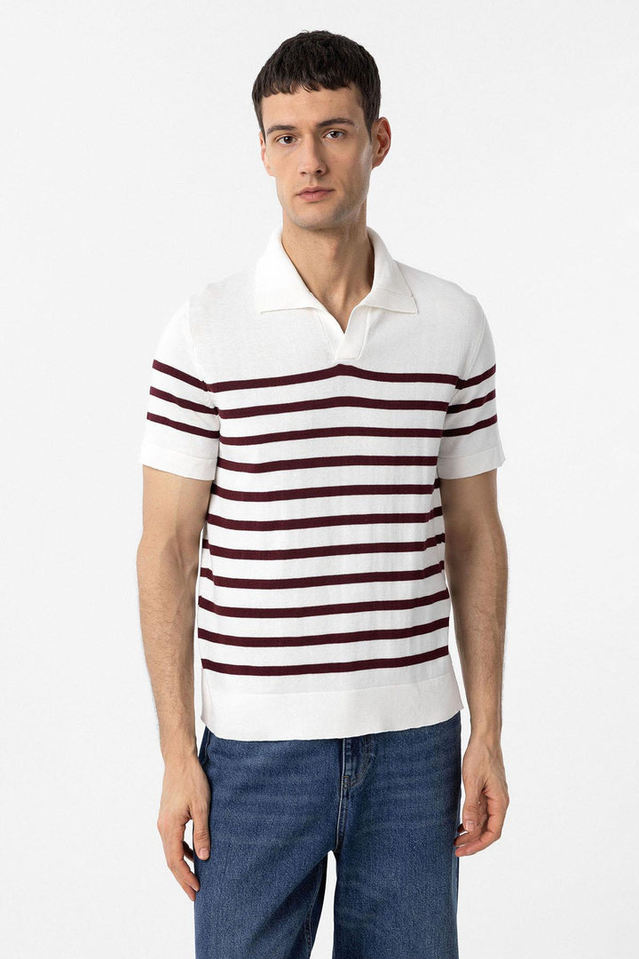ANT Antioch Bordo-Ekru Polo Yaka Çizgili Erkek Triko T-Shirt - Georgetown