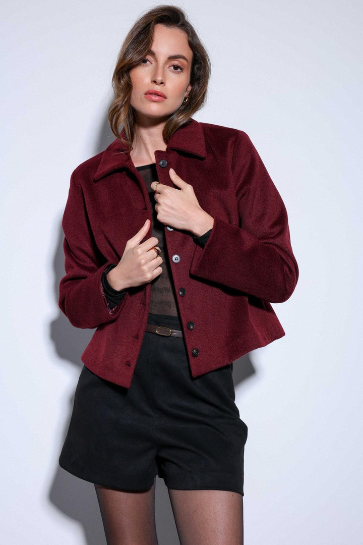 ANT Antioch Burgundy Shirt Collar Short Pea Coat - Roubaix