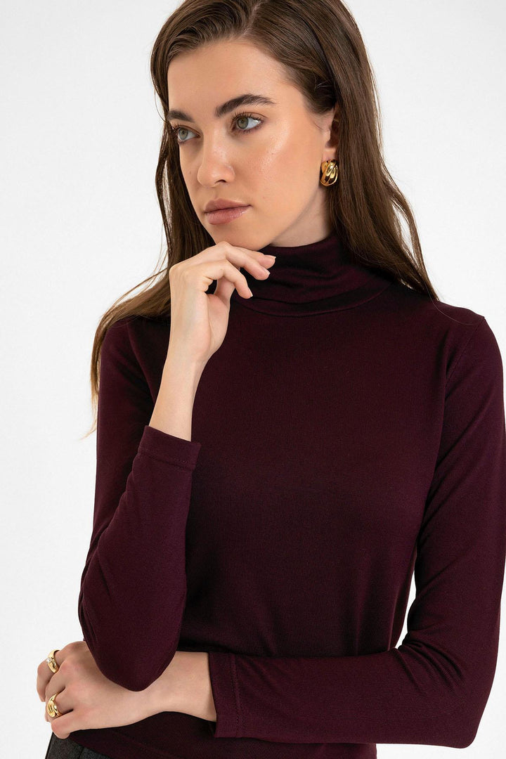 ANT Antioch Bordeaux Women's Turtleneck Sweater - Vlissingen