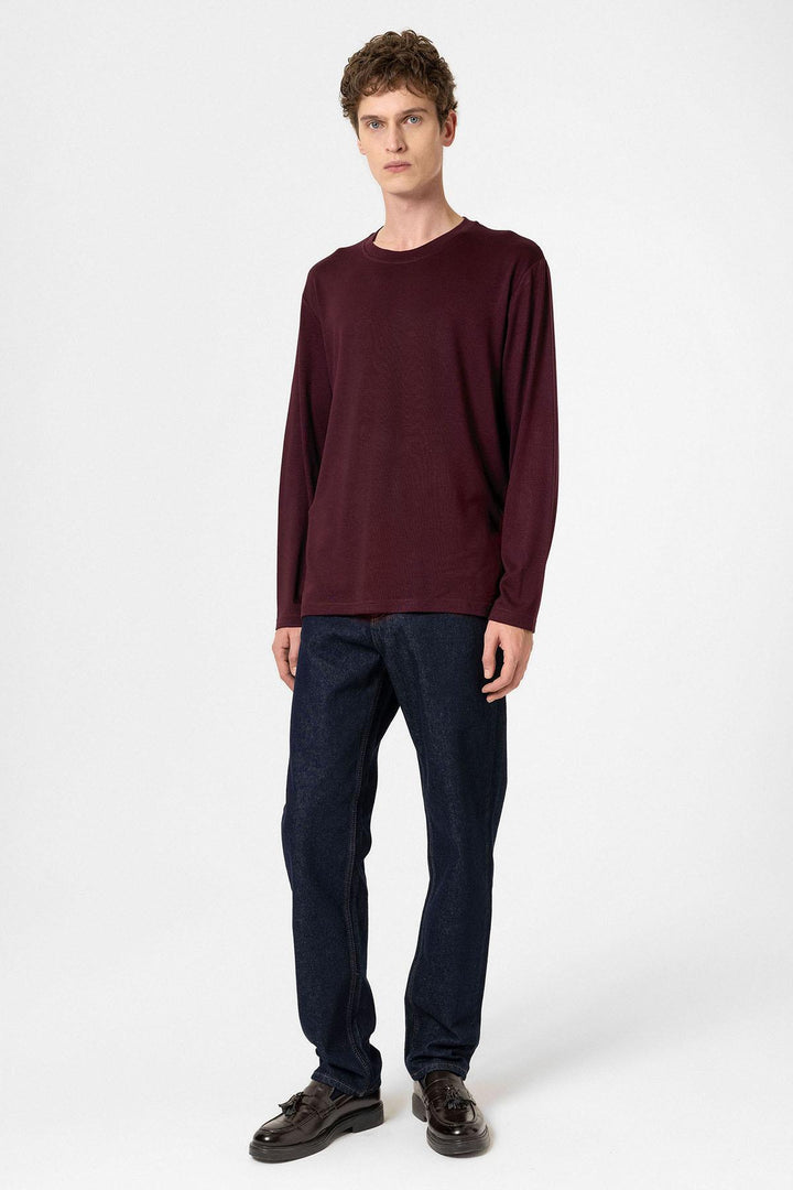 ANT Antioch Bordo Relaxed Fit Basic Erkek T-Shirt - Bruchsal