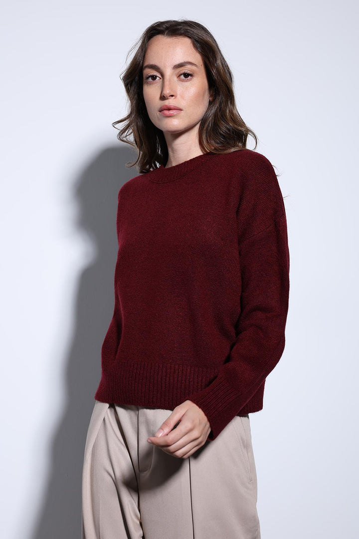 ANT Antioch Burgundy Wool Blend Women's Sweater - Morelia