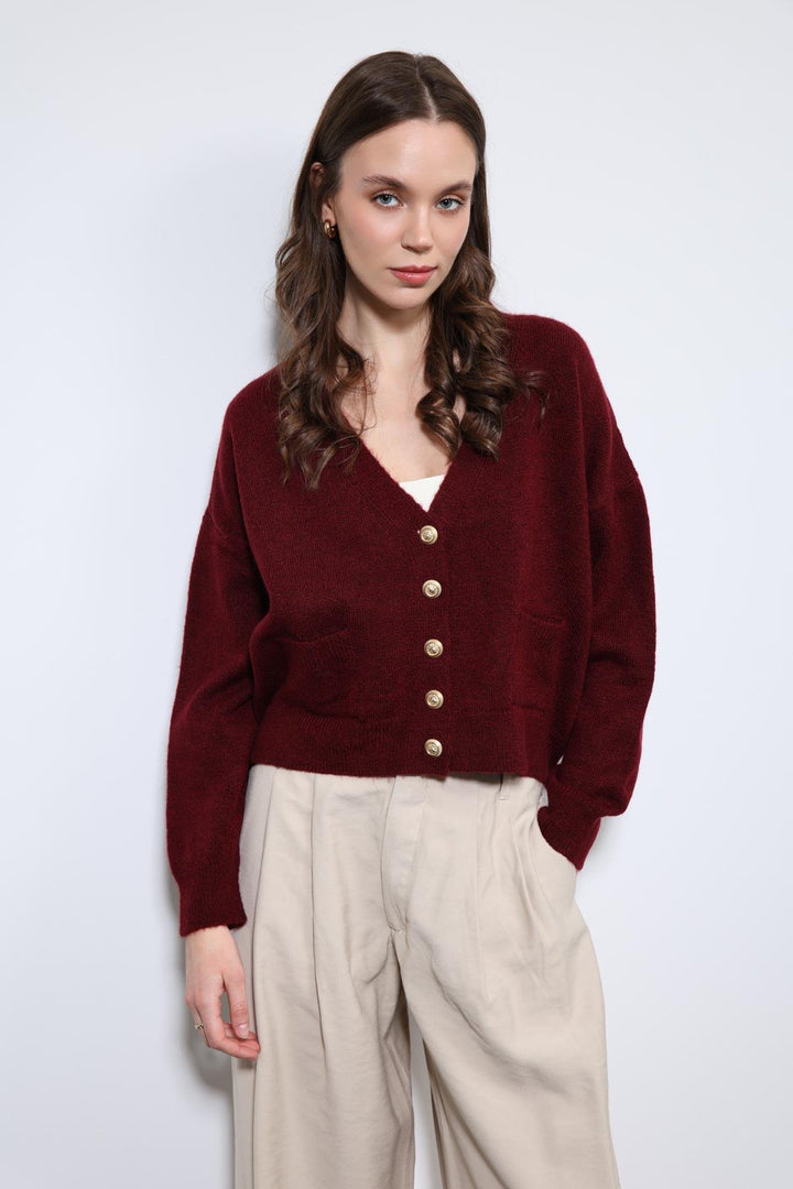 ANT Antioch Bordo Yün Karışımlı Örme Triko Hırka - Lehrte