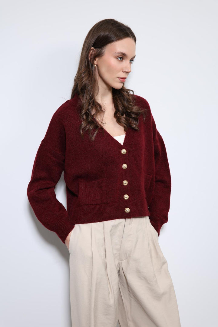 ANT Antioch Bordo Yün Karışımlı Örme Triko Hırka - Lehrte