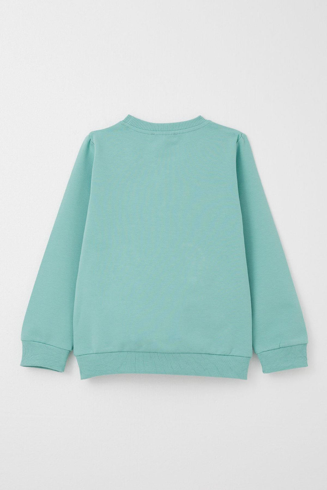 BRE Datagridviewtextboxcolumn { Name = Brand, Index = 5 } Baby Boy Tracksuit Cute Bear Patterned Kangaroo Pocketed 9 Months-3 Years, Water Green - Wagga Wagga