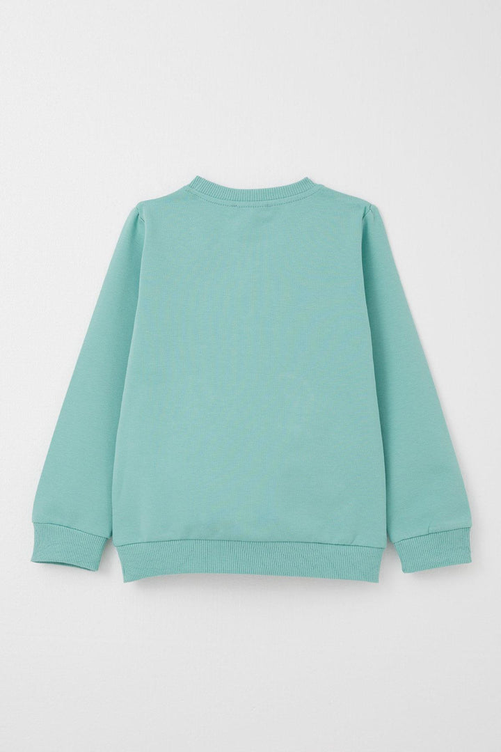 BRE Datagridviewtextboxcolumn { Name = Brand, Index = 5 } Baby Boy Tracksuit Cute Bear Patterned Kangaroo Pocketed 9 Months-3 Years, Water Green - Wagga Wagga