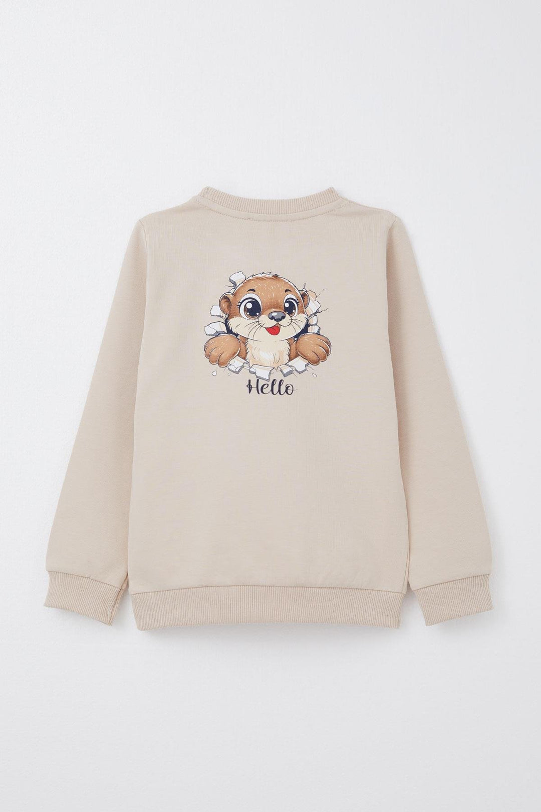 BRE Breeze Baby Boy Tracksuit with Cute Squirrel Print on the Back 9 Months-3 Years, Beige - Göttingen