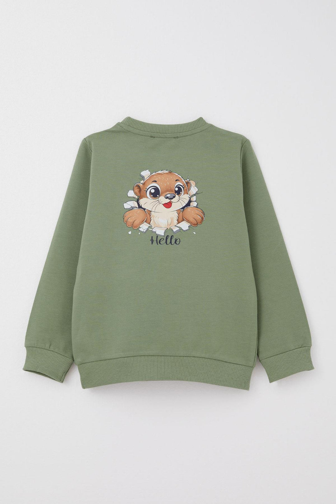 BRE Breeze Baby Boy Tracksuit with Cute Squirrel Print on the Back 9 Months-3 Years, Khaki Green - Gifhorn